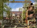 Verrostete Rohre und Apparate der Kokerei Hansa, ein Lost Place, umgeben von jungen Bäumen.