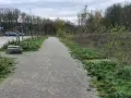 Gravel path leading to the Halde Rungenberg parken. Cars are parked on the left, with trees and overgrown grass lining the path.