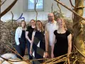 Fünf Personen stehen vor einer Installation aus Ästen. Sie sind Teil des museumsnacht programm.