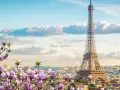 Eiffelturm in Paris, umgeben von blühenden Magnolien. Ein Muss, was man in Paris gesehen haben muss, besonders im Frühling.