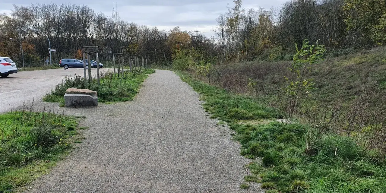 Gravel path leading to the Halde Rungenberg parken. Cars are parked on the left, with trees and overgrown grass lining the path.