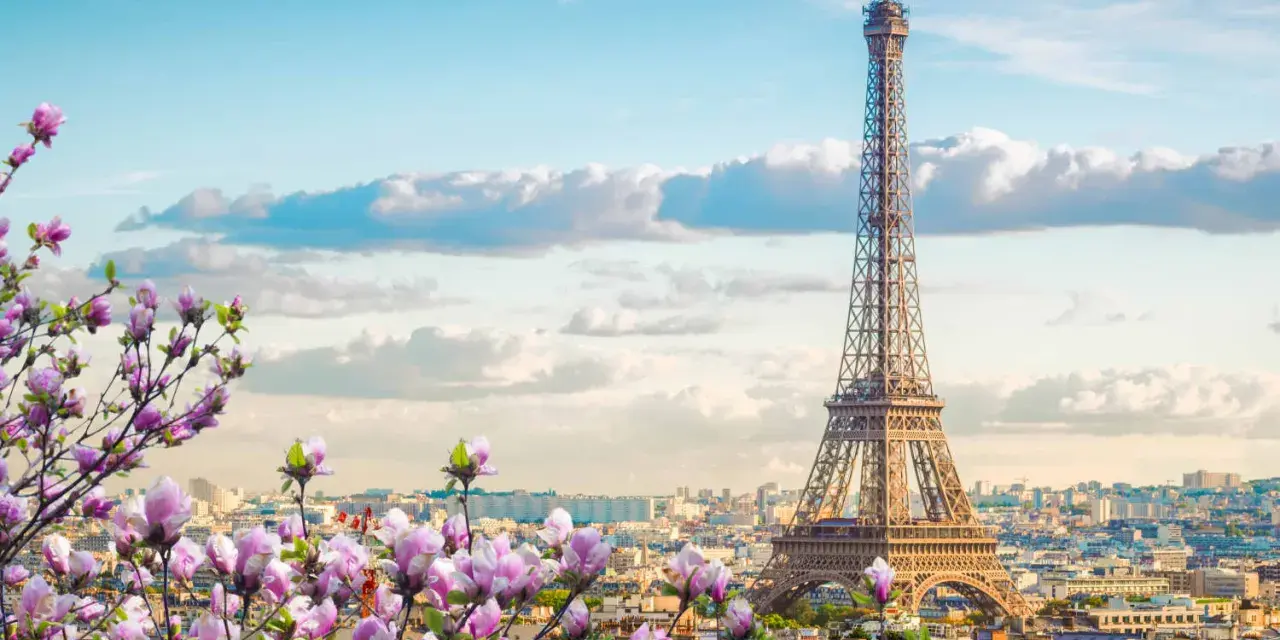 Eiffelturm in Paris, umgeben von blühenden Magnolien. Ein Muss, was man in Paris gesehen haben muss, besonders im Frühling.