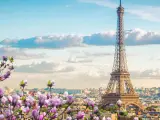 Eiffelturm in Paris, umgeben von blühenden Magnolien. Ein Muss, was man in Paris gesehen haben muss, besonders im Frühling.