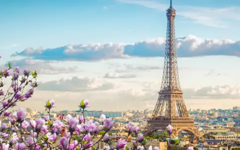 Eiffelturm in Paris, umgeben von blühenden Magnolien. Ein Muss, was man in Paris gesehen haben muss, besonders im Frühling.