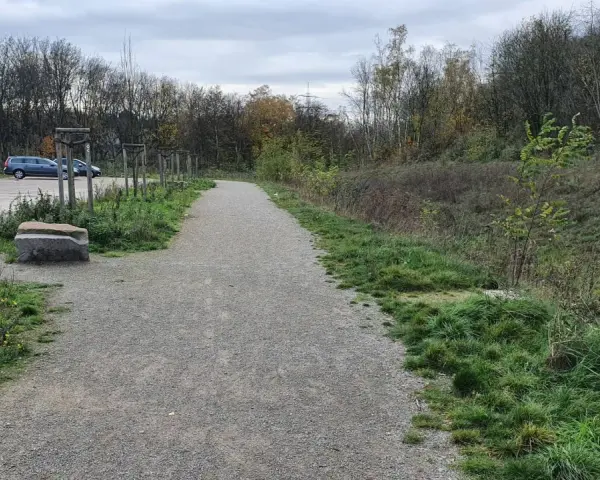 Gravel path leading to the Halde Rungenberg parken. Cars are parked on the left, with trees and overgrown grass lining the path.