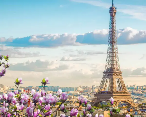 Eiffelturm in Paris, umgeben von blühenden Magnolien. Ein Muss, was man in Paris gesehen haben muss, besonders im Frühling.