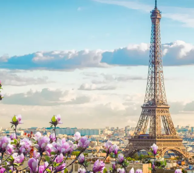 Eiffelturm in Paris, umgeben von blühenden Magnolien. Ein Muss, was man in Paris gesehen haben muss, besonders im Frühling.