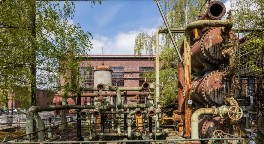 Verrostete Rohre und Apparate der Kokerei Hansa, ein Lost Place, umgeben von jungen Bäumen.