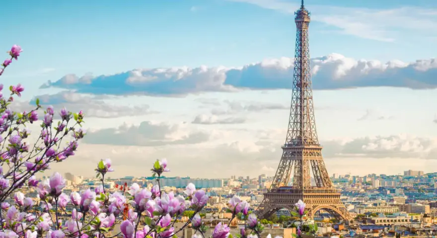 Eiffelturm in Paris, umgeben von blühenden Magnolien. Ein Muss, was man in Paris gesehen haben muss, besonders im Frühling.