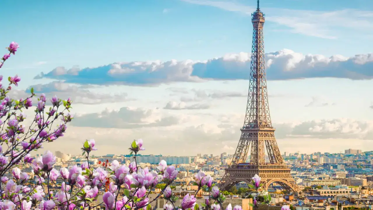 Eiffelturm in Paris, umgeben von bl&uuml;henden Magnolien. Ein Muss, was man in Paris gesehen haben muss, besonders im Fr&uuml;hling.