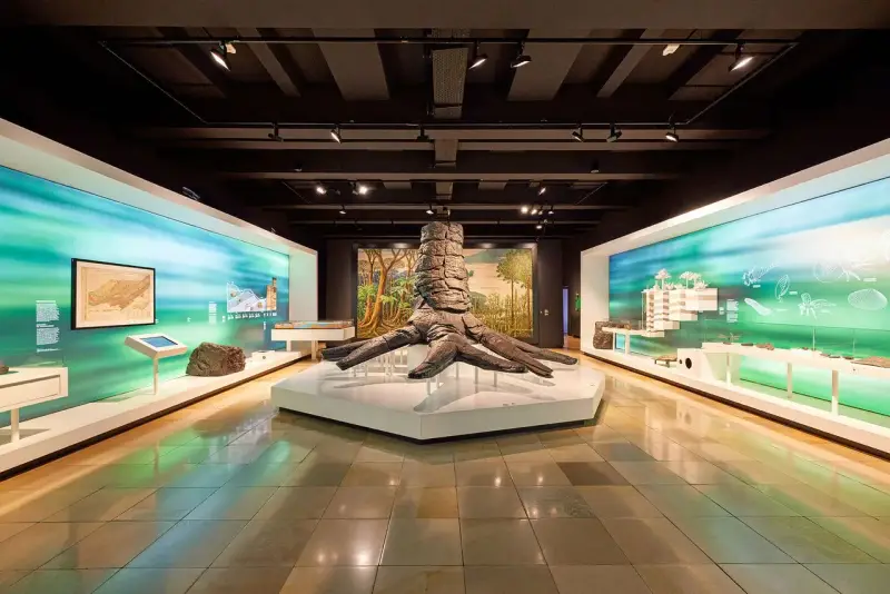 Im Museum steht ein riesiger Baumstamm, der an die Zeche erinnert. Links und rechts davon sind Ausstellungen mit Karten und Fossilien.