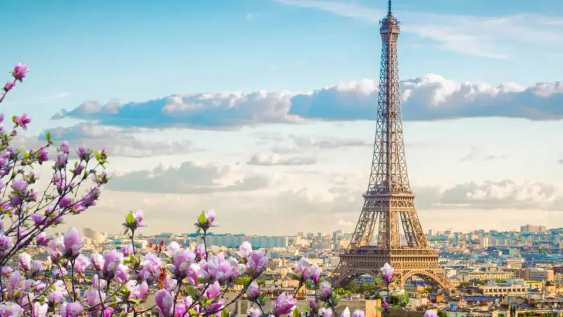 Eiffelturm in Paris, umgeben von blühenden Magnolien. Ein Muss, was man in Paris gesehen haben muss, besonders im Frühling.